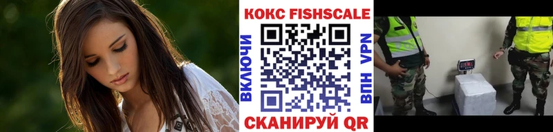 КОКАИН Fish Scale  Купить закладки  Ивдель 